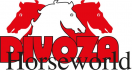 Black Friday Deals Divoza