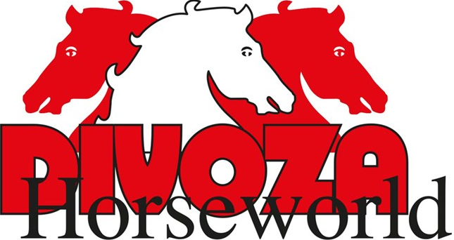 Black Friday Deals Divoza